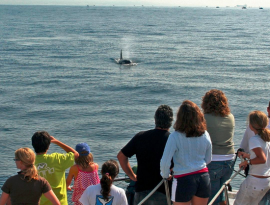 cadiz con niños